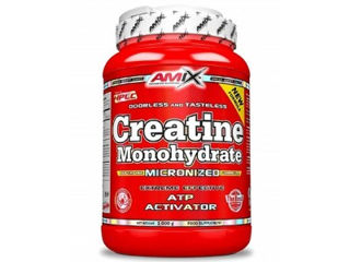 Amix Creatine Monohydrate 1 kg.