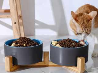 Миска керамическая для собак и кошек foto 7