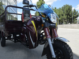 Tiger 200cc / 250cc /300сс foto 17