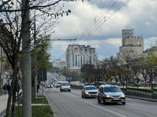 Spre chirie: Teren în sec.Centru, bd. Gr. Vieru, 1,6 ari foto 2