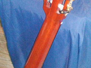 Top massive cheddar Rosewood foto 3