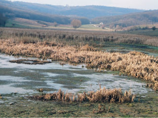 Vand iaz+terenuri ! foto 5