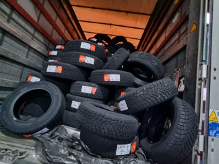 205/60 R16 Momo Tyres (Italy) North-Pole foto 5