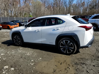 Lexus UX foto 6