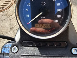 Harley - Davidson Sportster IRON 883 foto 3