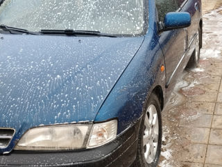 Nissan Primera foto 6