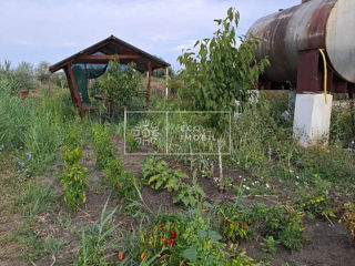 Vânzare, iaz, Strășeni, teren agricol foto 3