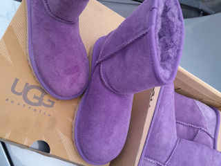 Ugg Australia Оригинал foto 8