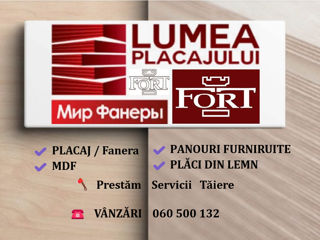 Placaj Fanera Фанера Fort SRL  foto 0
