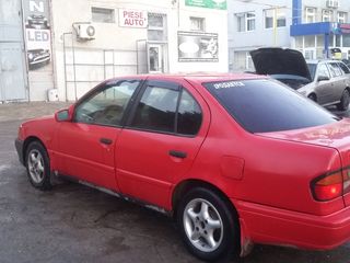 Nissan Primera foto 2