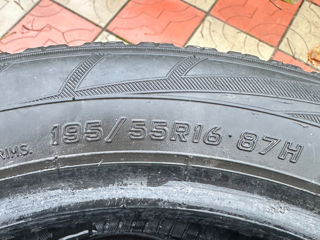 Falken R16 foto 3