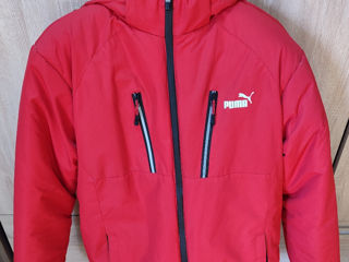 Куртки - Original Puma red jacket