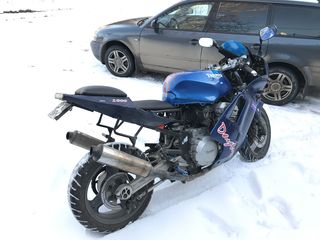 Triumph Daytona доки MD foto 2