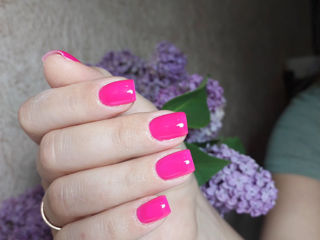 Alungirea unghilor +shellac calitativ /наращивание ногтей : коррекция ;лак-гель    чеканы foto 5