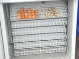 incubator automat 1584 oua gaina la doar 3800 lei foto 1