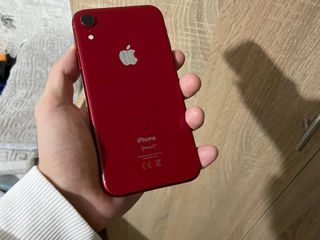 iPhone XR foto 6