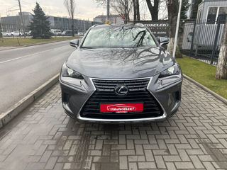 Lexus NX Series foto 2