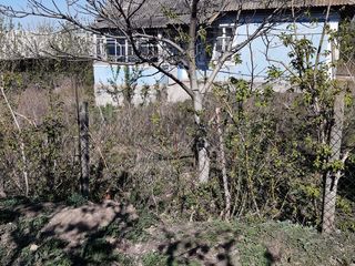 Urgent vind casa batrineasca in satul Varvareuca. foto 3