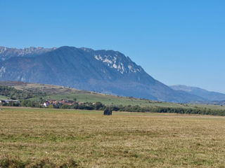 Teren unic de 11,600 mp/Extravilan/Rasnov foto 8