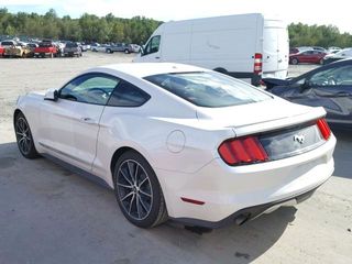 Ford Mustang foto 3