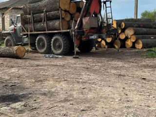 Transportarea lemnului