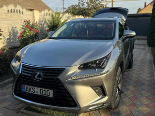 Lexus NX Series