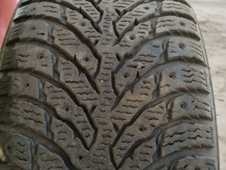 225 55 r17 Nokian Hakkapelita 9