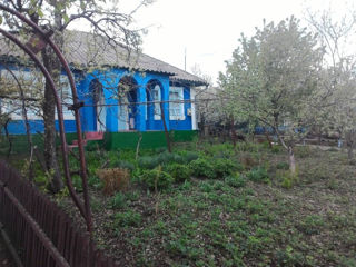 Casa in satul Gvozdova