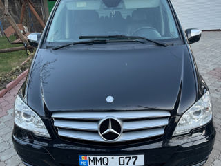 Mercedes Viano foto 3