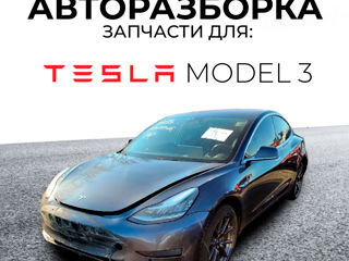 Авторазборка Tesla Model 3, Y, X foto 2