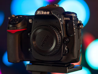 Nikon D300s  -  250 euro.