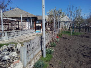 Vînd casă de locuit mobilată lîngă drum asfaltat urgent 16000 euro raionul Telenesti satul Negureni foto 9