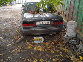 Nissan Primera foto 3