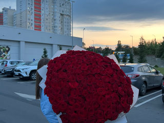 101 Trandafiri  1 metru - 2000 lei  !!! Livrare gratuita foto 9