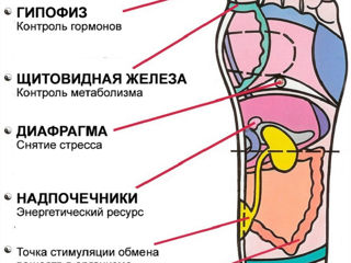 Тренажер акупунктурный. Йога. Спорт. Боевые Искусства. foto 3