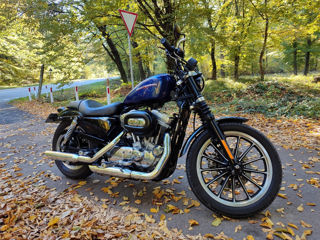 Harley - Davidson Sporster 883 foto 3