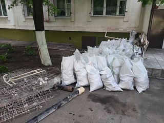 Вывоз мусора с погрузкой. evacuam gunoi gunoi. foto 2