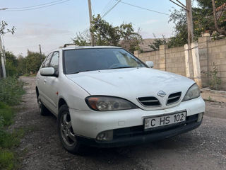 Nissan Primera foto 1