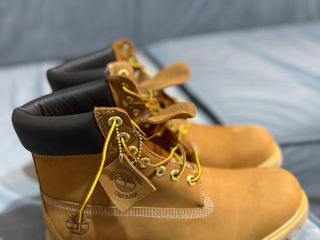 Timberland foto 4