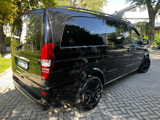 Mercedes Viano foto 5