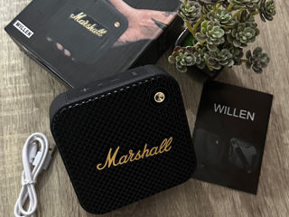 Колонка Marshall willen foto 1