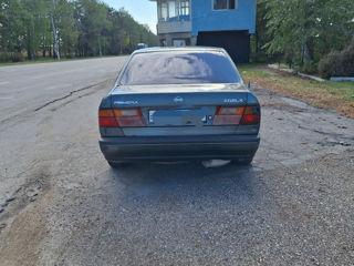 Nissan Primera foto 5