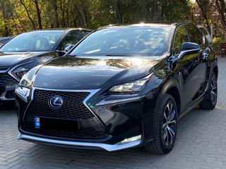 Lexus NX Series foto 1