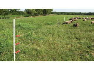 Gard electric pentru vaci, oi, capre, porci, cai