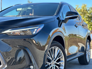 Lexus NX Series foto 4