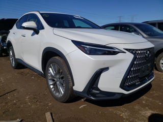 Lexus NX Series