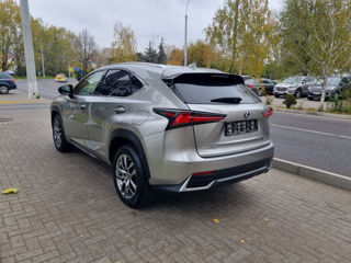 Lexus NX Series foto 7