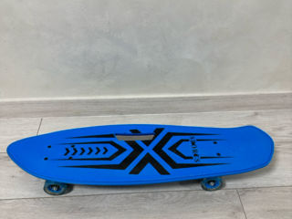 2 Skateboard-uri foto 1