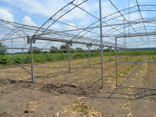 Se vinde Ieftin afcere in agricultura modul sau bloc de sera solar  teplite din fier zincat фото 2