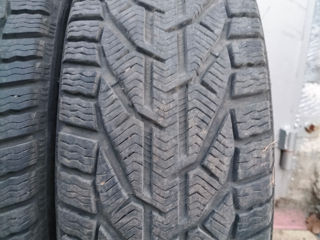 205/60r16 tigar foto 2